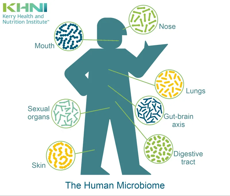 From Mouth to Metabolism: What Your Oral Bacteria Reveal About Your Digestive Health